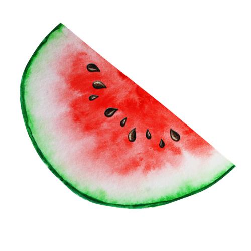 Frisk vandmelon skive